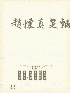 赵怀真是辅助吗
