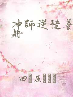 冲师逆徒养成手册