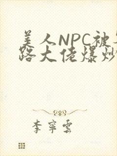 美人NPC被各路大佬爆炒小说