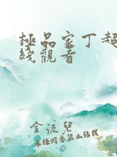 极品家丁超清在线观看
