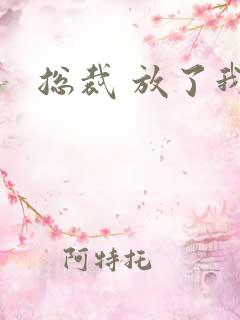 总裁 放了我