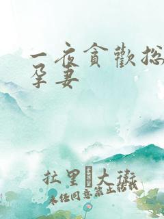 一夜贪欢总裁幸孕妻