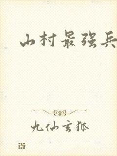 山村最强兵王