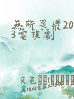 无所畏惧2023电视剧