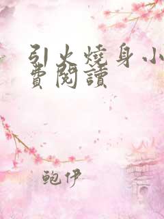 引火烧身小说免费阅读