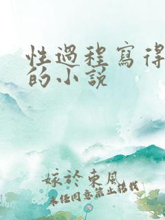 性过程写得详细的小说