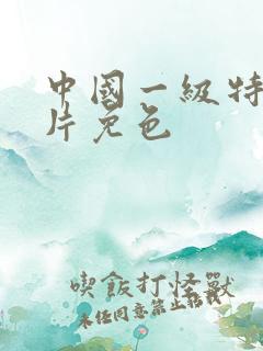 中国一级特黄大片免色