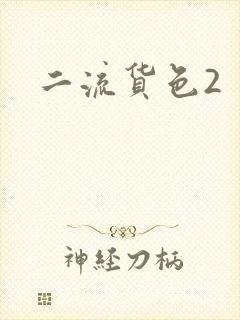 二流货色2
