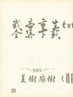 武帝重生txt全集下载