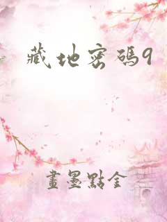 藏地密码9