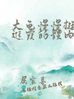 大龟慢慢挺进王进霞的体内