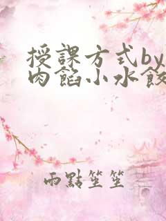 授课方式by 肉馅小水饺