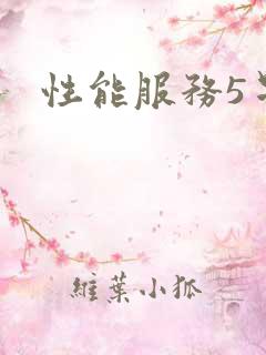 性能服务5星辰