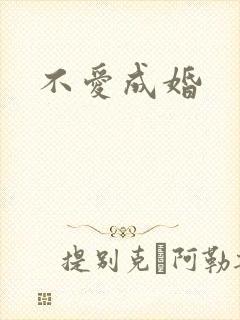 不爱成婚