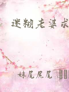 迷糊老婆求错婚