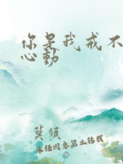 你是我戒不掉的心动