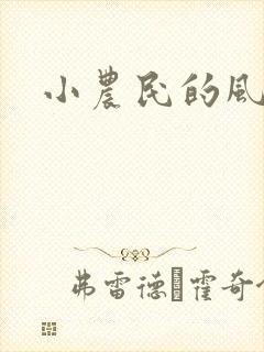 小农民的风流事