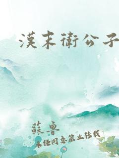 汉末卫公子