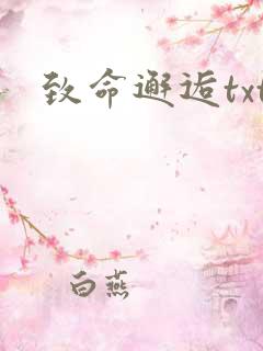 致命邂逅txt