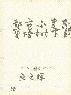 都市小农民玲珑宝塔txt下载
