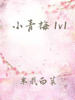 小青梅 1v1