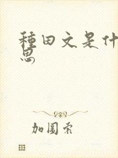 种田文是什么意思