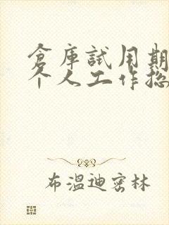 仓库试用期转正个人工作总结