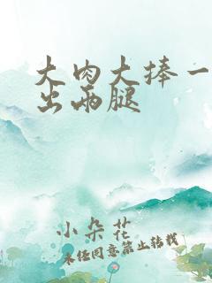 大肉大捧一进一出两腿