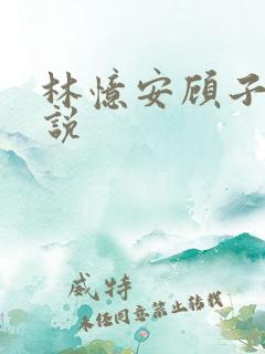 林忆安顾子铭小说
