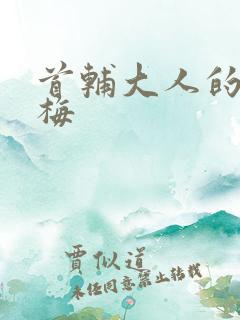首辅大人的小青梅