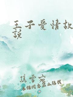 玉子爱情故事小说