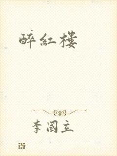 醉红楼