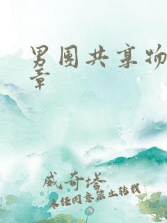 男团共享物第一章
