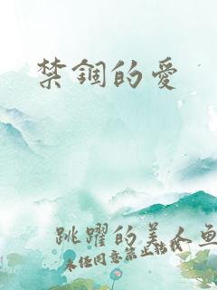 禁锢的爱