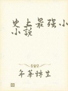 史上最强小农民小说