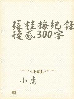 张桂梅纪录片观后感300字