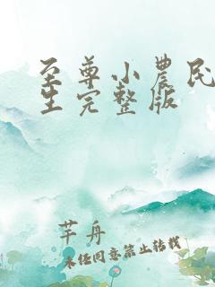 至尊小农民王木生完整版