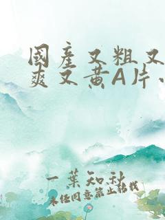 国产又粗又猛又爽又黄A片小说