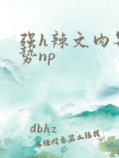 强h辣文肉各种势np