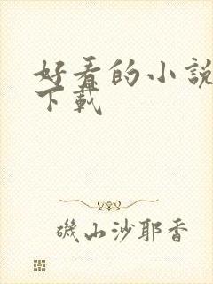 好看的小说打包下载