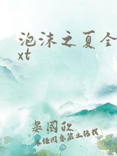 泡沫之夏全集txt