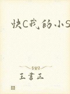 快C我的小SB