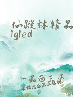 仙踪林精品zzlgled