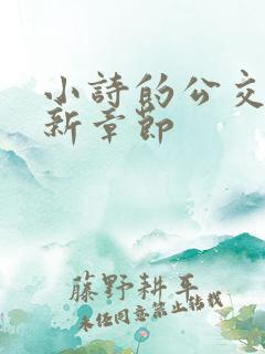 小诗的公交车最新章节