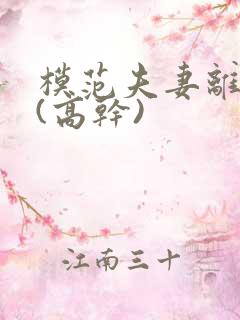 模范夫妻离婚了(高干)