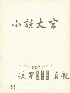 小说大宫
