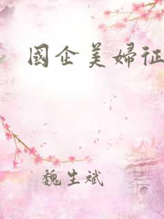 国企美妇征途
