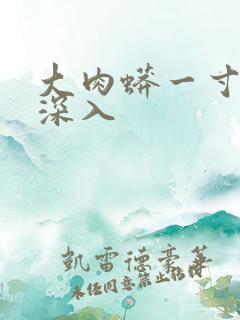 大肉蟒一寸寸地深入