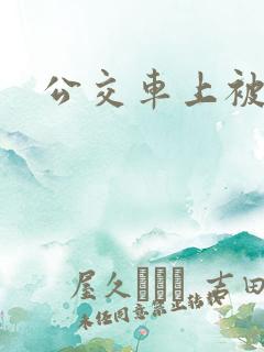 公交车上被搞了