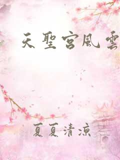 天圣宫风云录